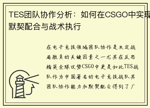 TES团队协作分析：如何在CSGO中实现默契配合与战术执行